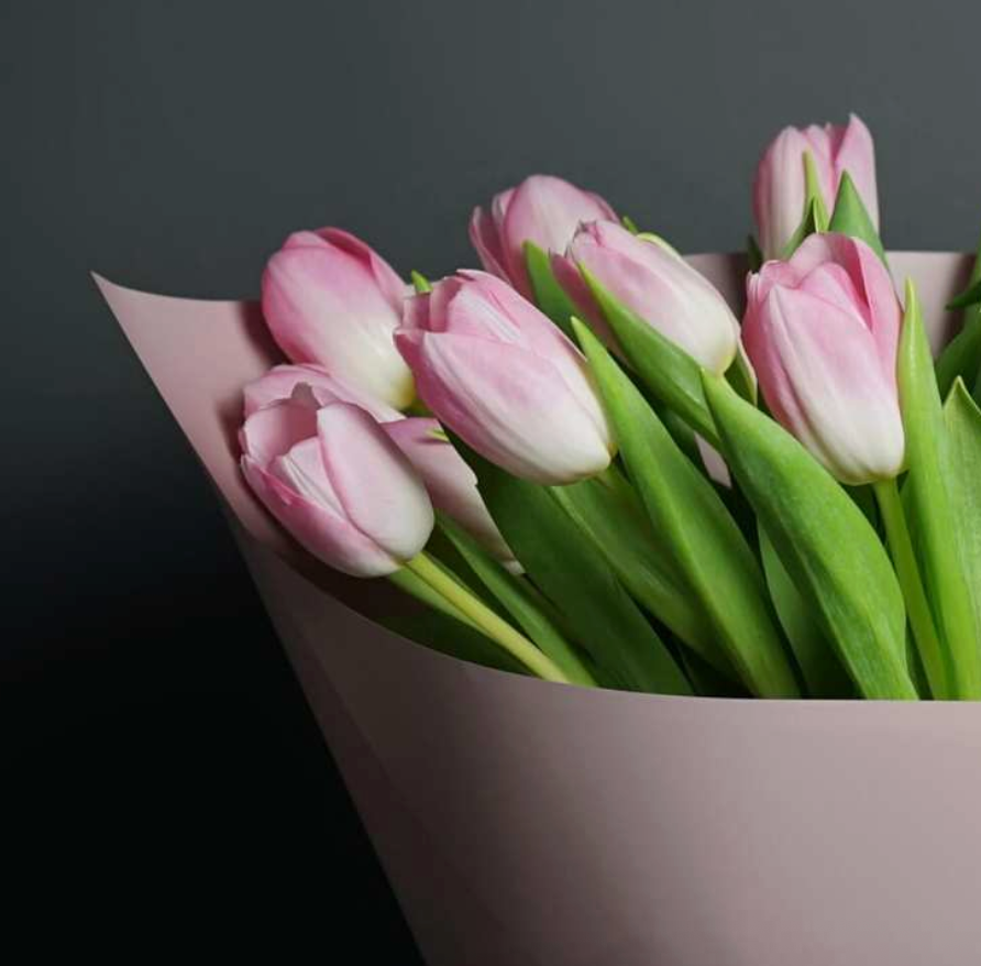 🌷 Winter Tulip Share (6 weeks, late February-March)
