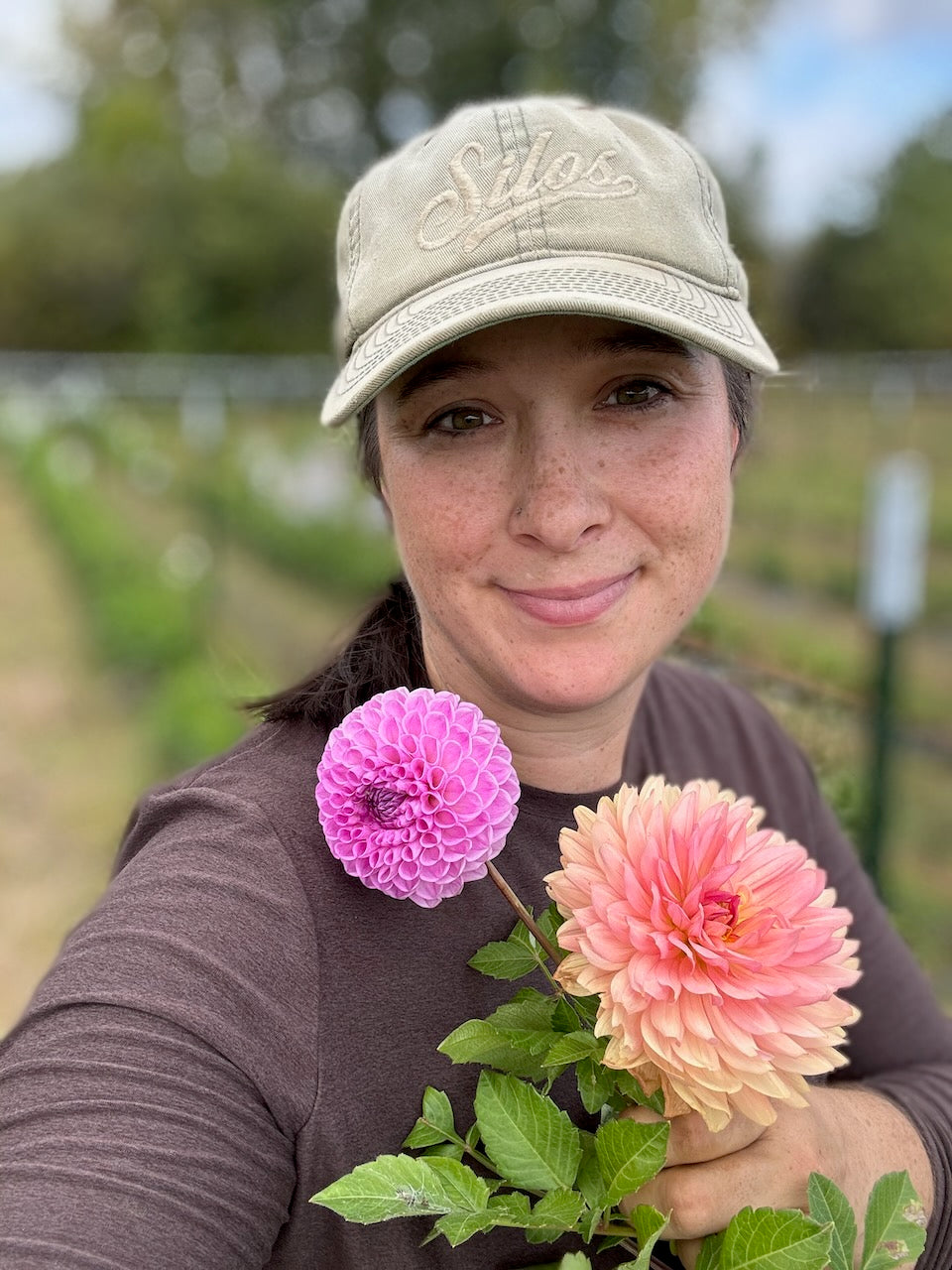 🌸 Premium Fall Dahlia Flower Share 2026 (6 weeks August-September)