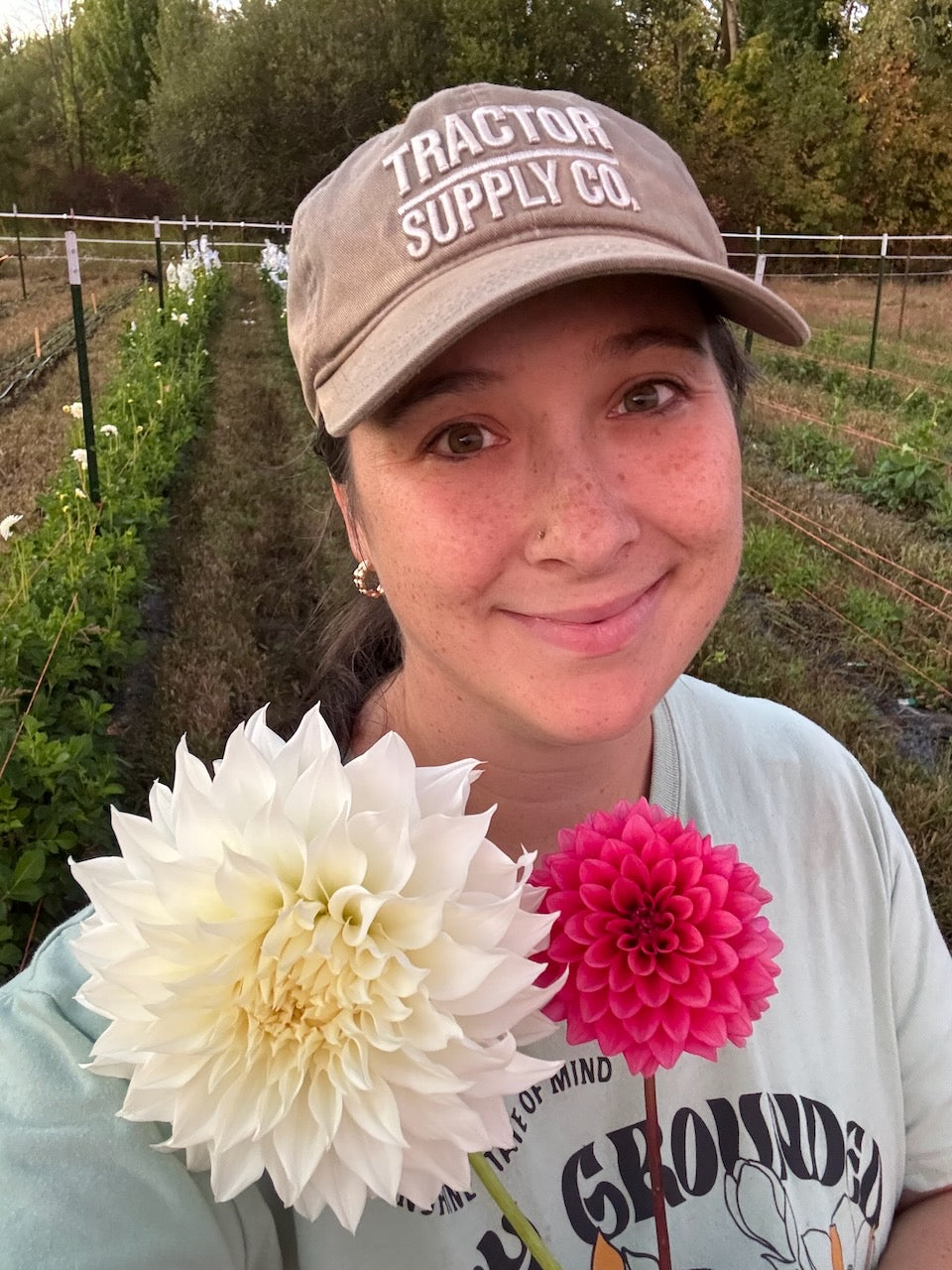 🌸 Premium Fall Dahlia Flower Share 2026 (6 weeks August-September)