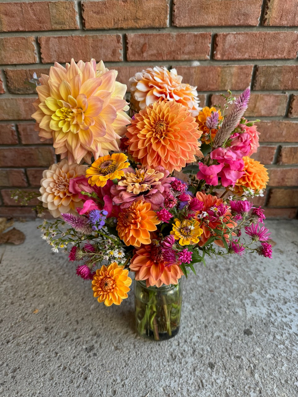 🌸 Premium Fall Dahlia Flower Share 2026 (6 weeks August-September)