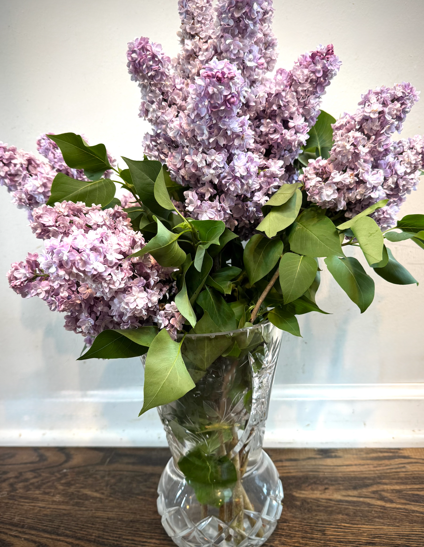 🌸 Premium Spring Flower Share (8 weeks, April-June)